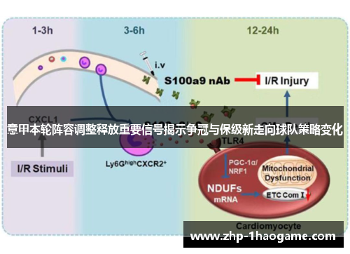 意甲本轮阵容调整释放重要信号揭示争冠与保级新走向球队策略变化
